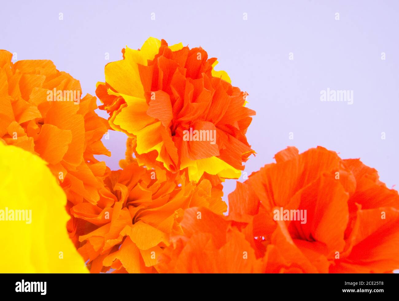 Flores de color naranja hechas de papel crepé, utilizadas en la festividad  de dia de los muertos en América Latina Fotografía de stock - Alamy