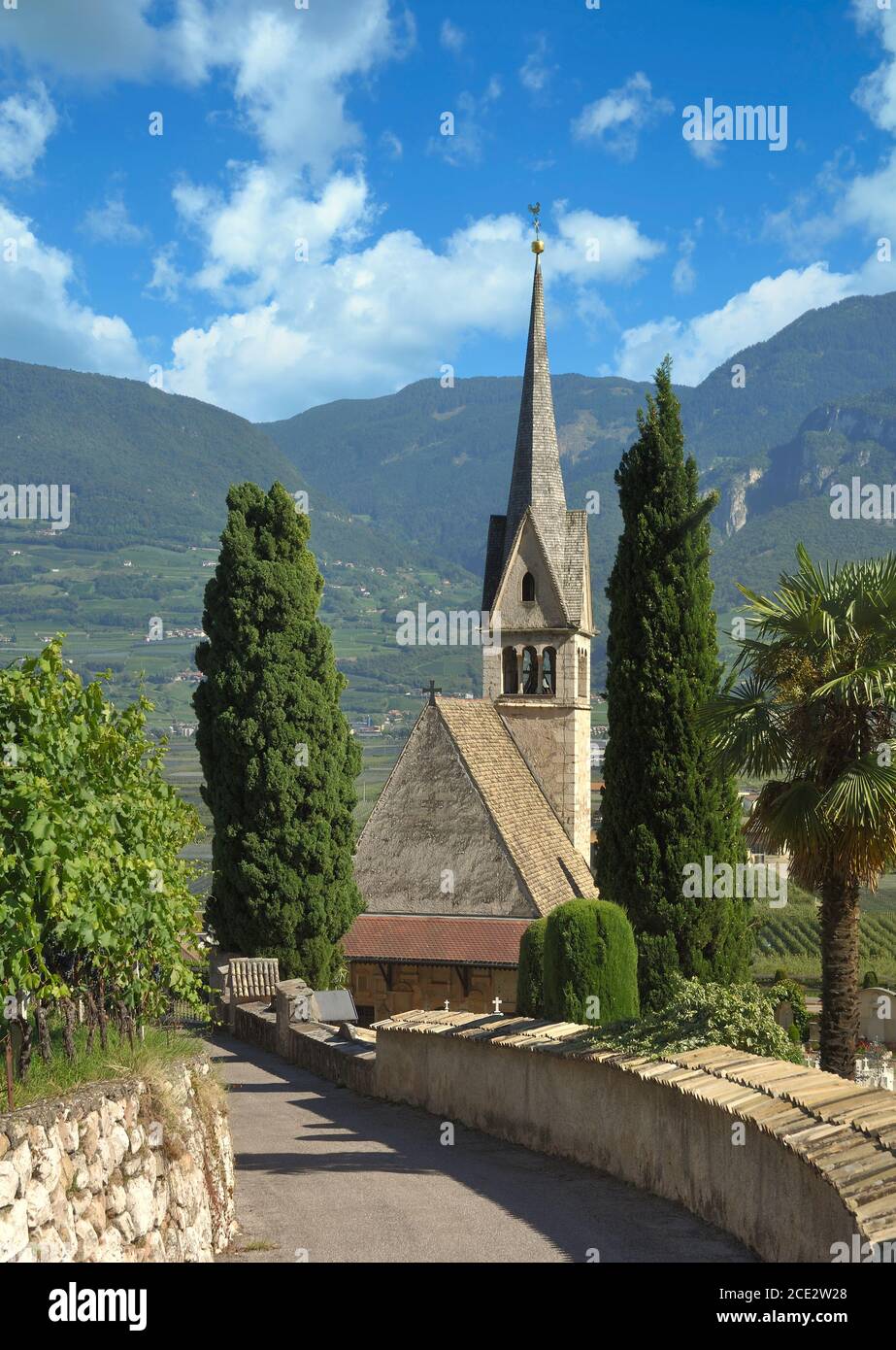 Camino del vino tirolés del sur cerca de Tramin,Tirol del sur,Trentino,Italia Foto de stock