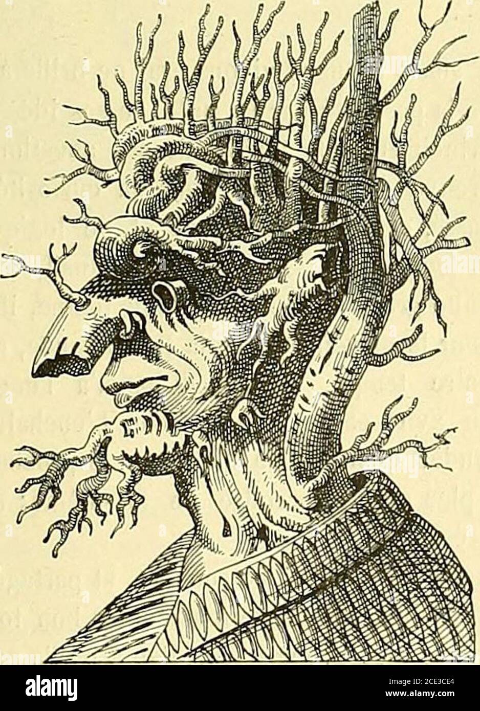 Gaceta De Beaux Arts N Encore Eclai Rees Dans Lautre Il Porte Un Maigre Gigot Qui Doit Lui Ouvir La Portedune Maison Hospitaliere Sa Femme Inquilino Un Gros Chat Dans Ses Bras Se