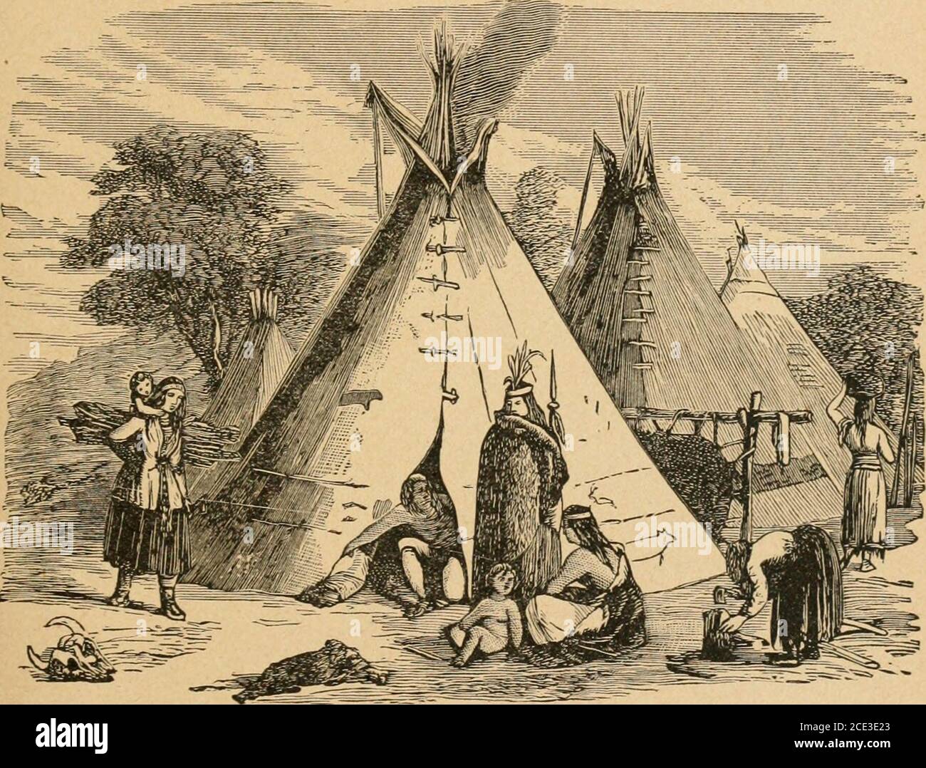 . Conquistar el desierto; o, Nueva historia pictórica de la vida y los