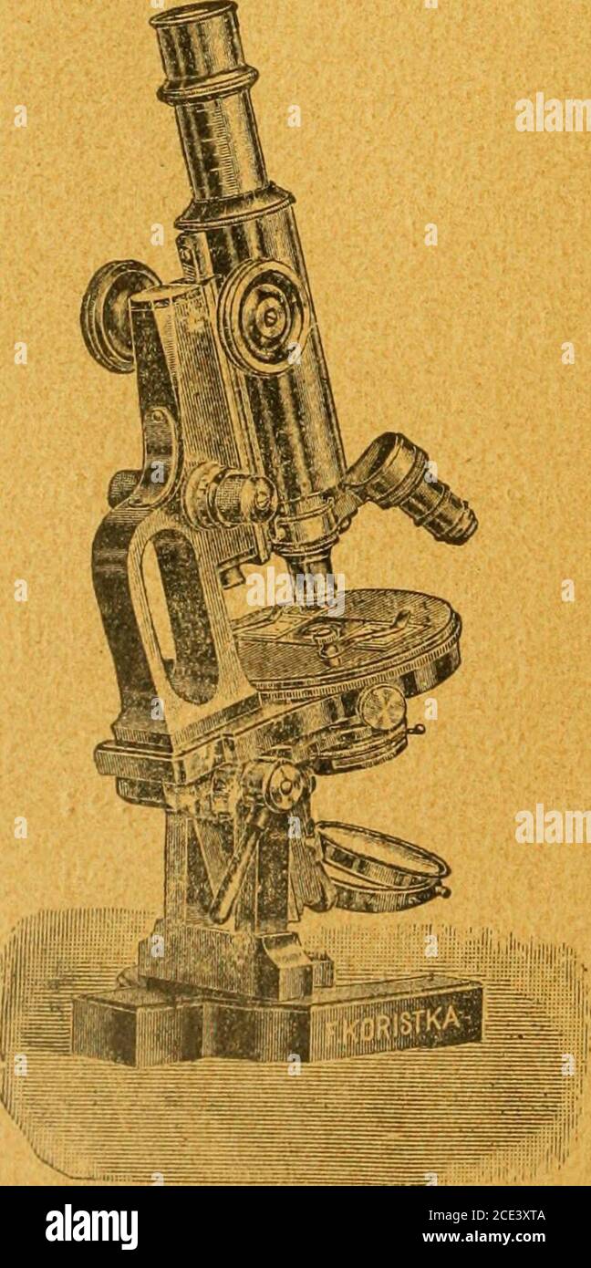 . Monitore zoologico italiano . nale - di Microscopi ed Accessori DITTA fornITRICE di tutti i Gabinetti Universitari del Regno ffiicroscoopyootfle mofleilo composto di statiyo uuuuyi±uu. Munito di apparato ?A. 1)1)6 COD diaframma ad iride e con mo-vimento a pignone e cremagliera per spo-starlo sotto il piano del tavolino, con tavolinoin ebanita, manovella di fermo allinclinazionedella parte superiore, divisirevola milletri altubo portaoculare; Due obbiet-tivi a secco 3 e 7*, un obbiettivo ad immer-sione omogenea Vu j tre oculari 2, 3 e 4, in-grandimenti fino a 1000 diametr Foto de stock