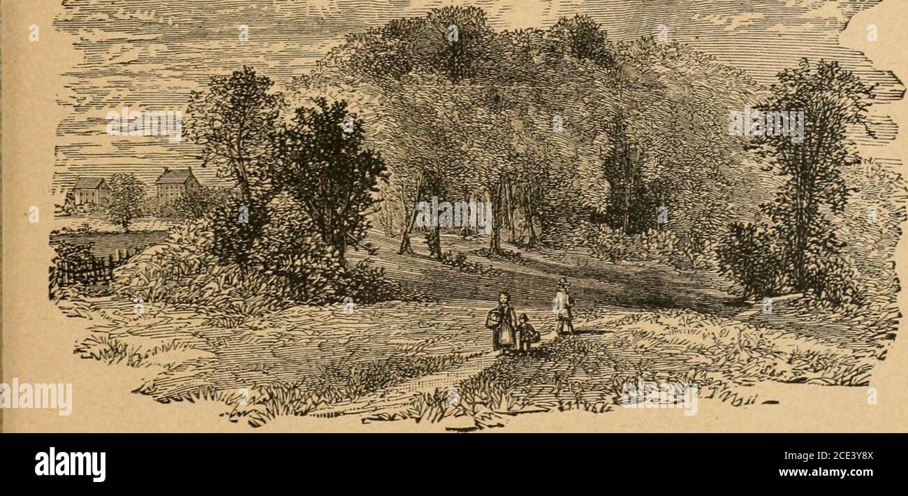 . Conquistar el desierto; o, Nueva historia pictórica de la vida y los