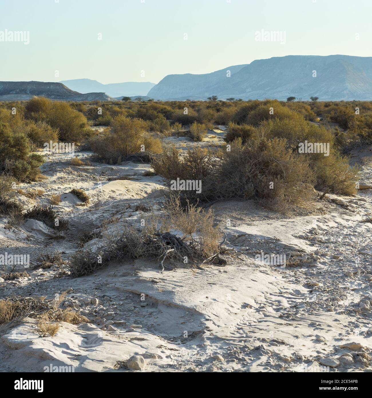 Soledad y vacío del desierto Foto de stock