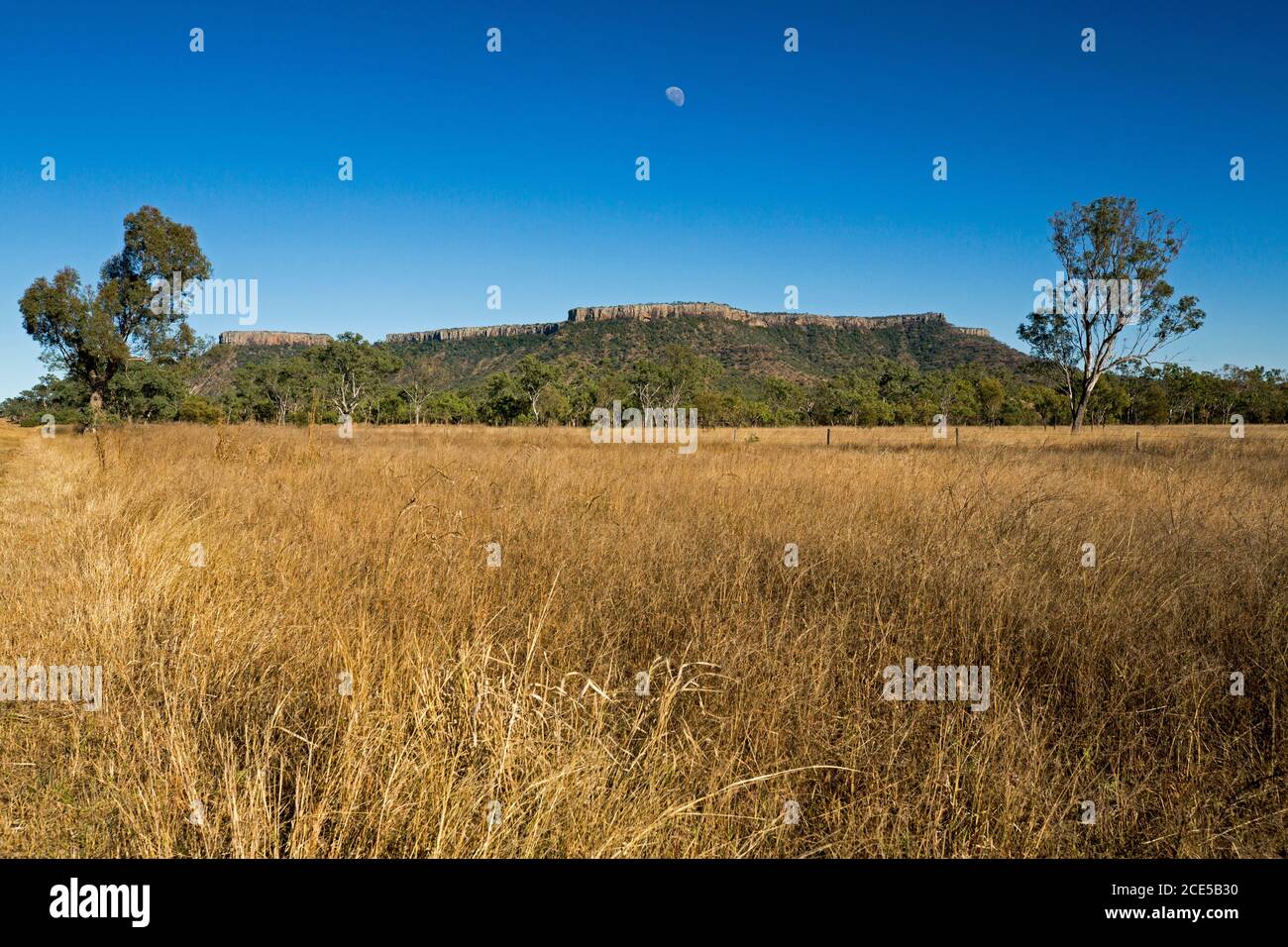 El Parque Nacional Hills of Peak Range se eleva hacia el cielo azul Con el primer plano envuelto en pastos de oro en el Outback de Queensland Australia Foto de stock