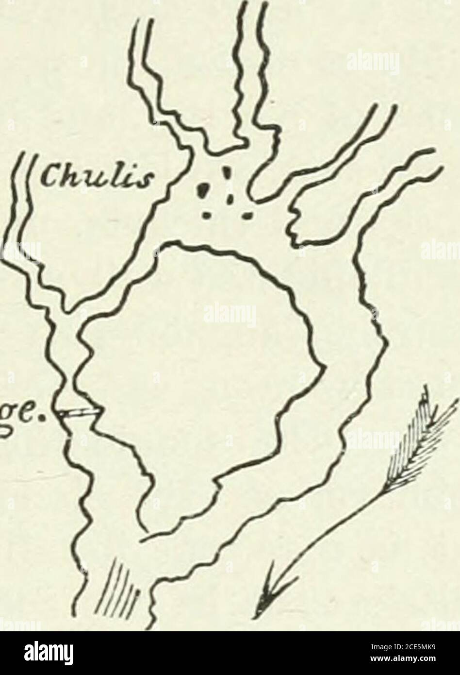 . Los Anales y las antigüedades de Rajasthan, o los estados Rajput central y occidental de la India. Dos ramas, rodeando y aislando la roca, en cuya cara norteña se juntan, y forman otra caída fina [715]. Un árbol se coloca a través del abismo, con la ayuda de la cual el adventuroso puede alcanzar la cumbre de la roca, que es bastante plana, y se llama la mesa del Thakur de Bhainsror, que a menudo, en el verano, celebra su got o fiesta allí, Y un lugar más apto para LOS TORBELLINOS DEL CHAMBAL 1765 tal entretenimiento apenas se puede imaginar. Aquí, soothedby el murmullo de aguas espumosas, el ojo Foto de stock