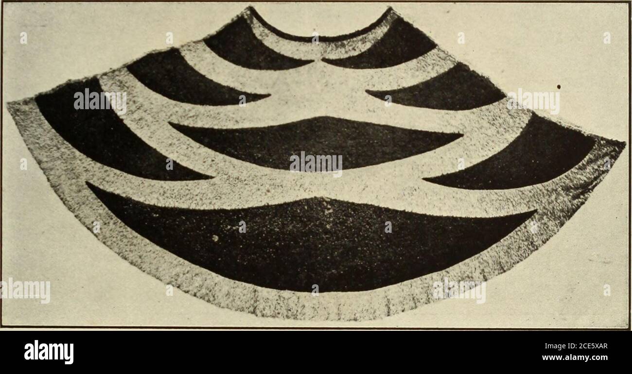 . Memorias del Bernice Pauahi Bishop Museum . Tudy e ilustración de los anzuelos de pescado del Pacífico. Unos años desde que obtuvo el manto, ilustrado en la Fig. 18, de un patrón parecido al manto de alegría (no 16 en la lista de ahuula, ySlot el manto más grande conocido de la fabricación hawaiana), los dieciocho círculos de amarillo EL MANTO BEASLEY. 10 00, y el borde basal del mismo, mientras que el cuerpo del manto es rojo iiwi. Los meas-urements son: Anchura extrema 8 pies 2 pulgadas; profundidad de la parte posterior 4 pies 7 pulgadas; frente 4 feet1 pulgada; la línea del cuello mide 2 pies 4 pulgadas; la línea basal 9 pies Foto de stock