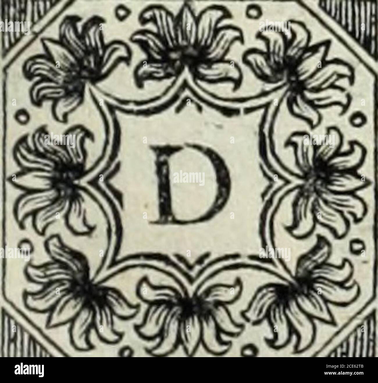 indigo bolsagage status