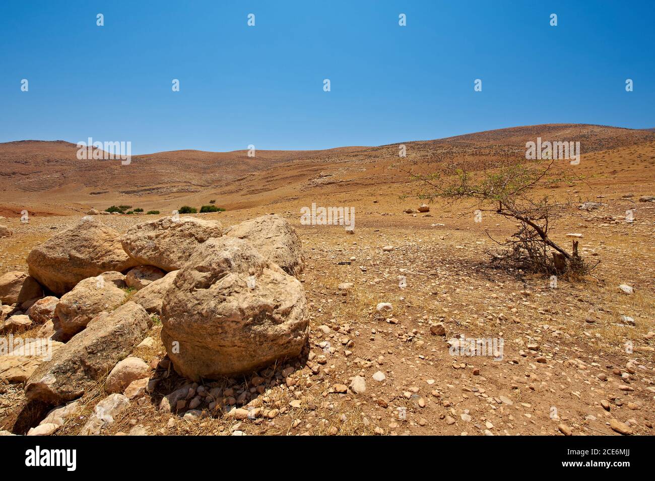 Desierto del Neguev en Israel Foto de stock