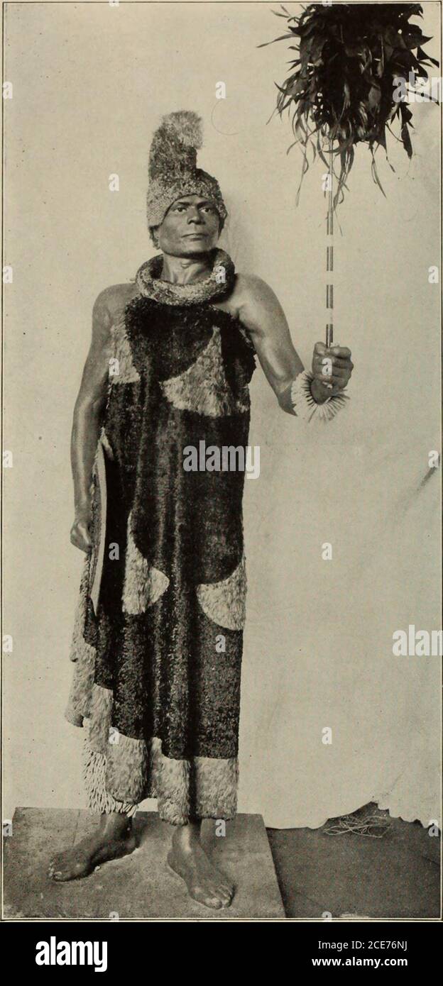 . Memorias del Bernice Pauahi Bishop Museum . FIG. 3. CUADRO QUE MUESTRA AHUULA Y LEI MÁS PEQUEÑOS. FIG. MODELO DE UN JEFE HAWAIANO, PETROGRADO. Foto de stock