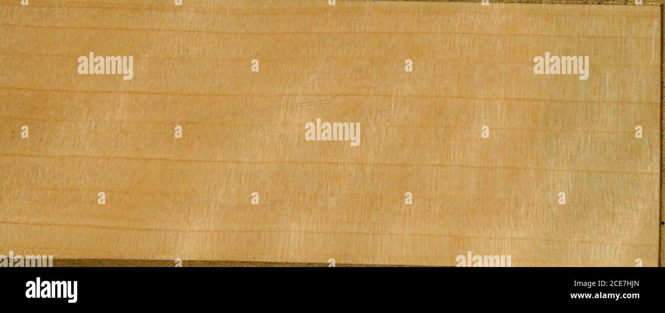 240 letras griegas de madera sin terminar con bandeja de