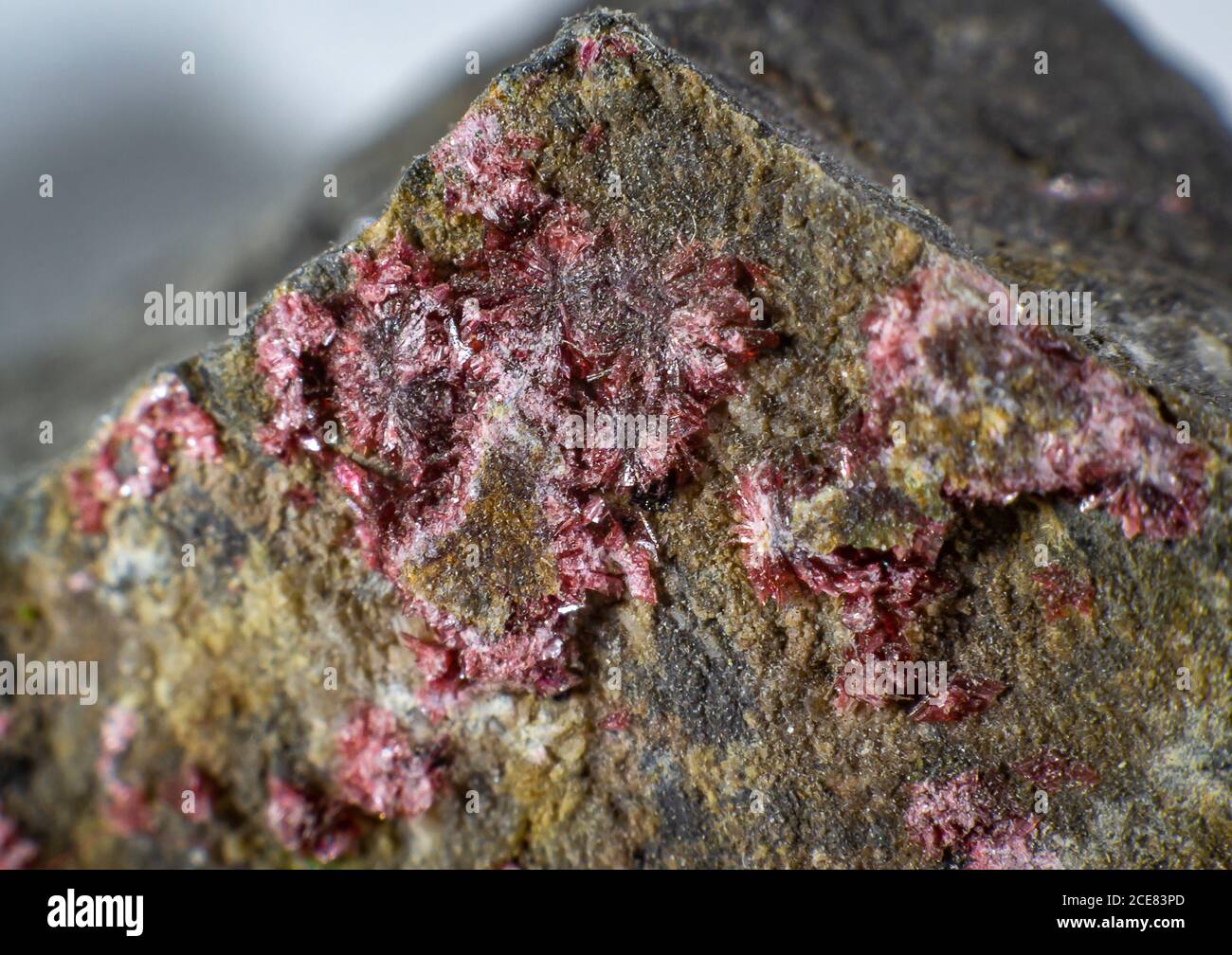 Mineral arseniato fotografías e imágenes de alta resolución Alamy