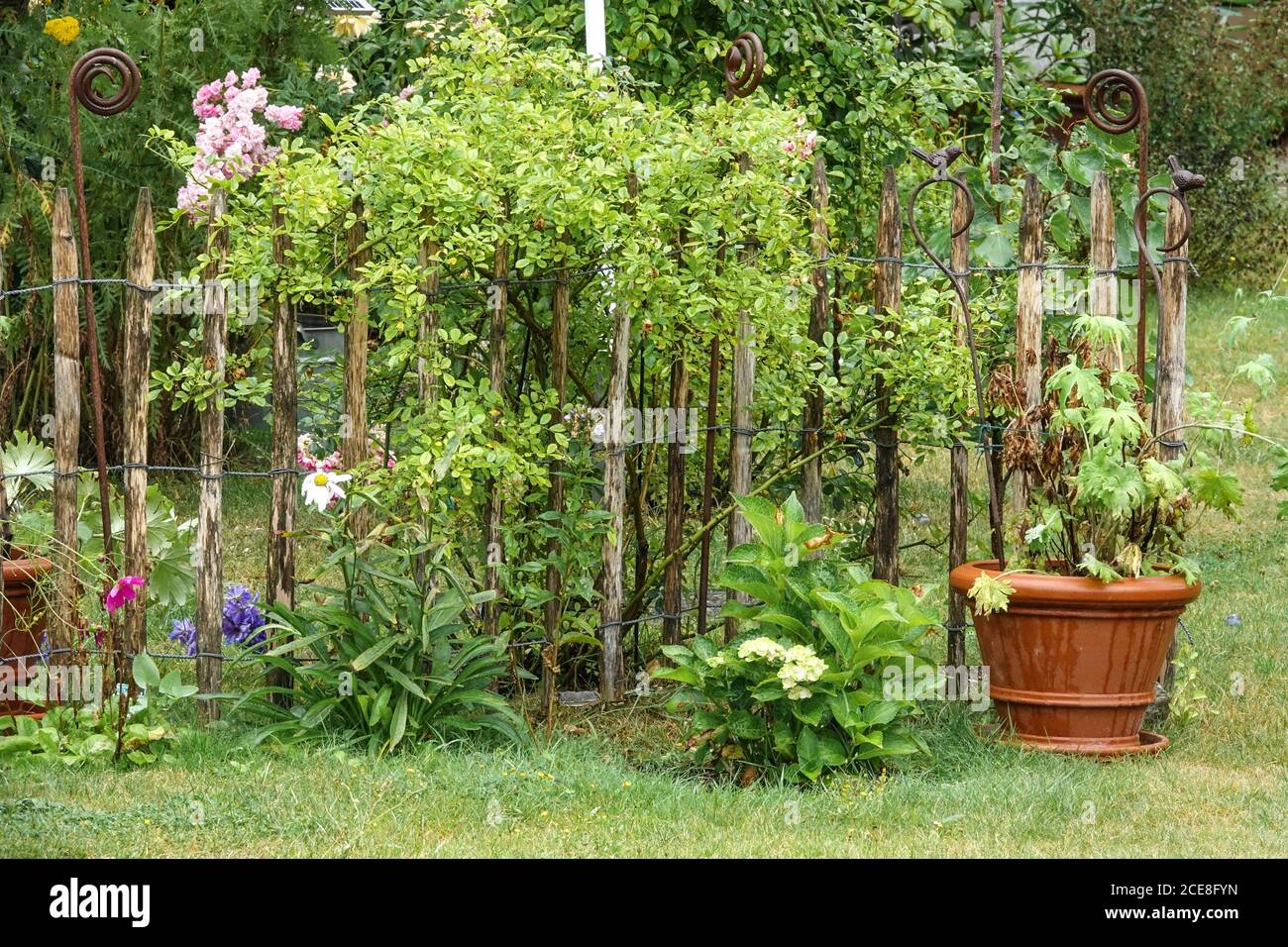 Valla de jardín en un pequeño jardín Foto de stock