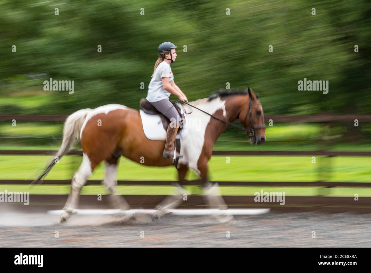 Montar a caballo a velocidad en la menage. Foto de stock
