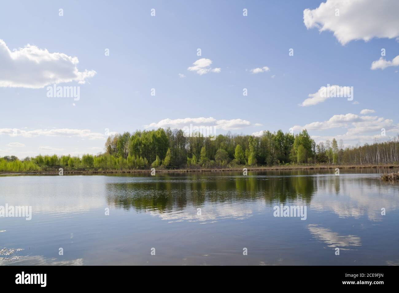 Reflejos del cielo de primavera en el lago de madera Foto de stock