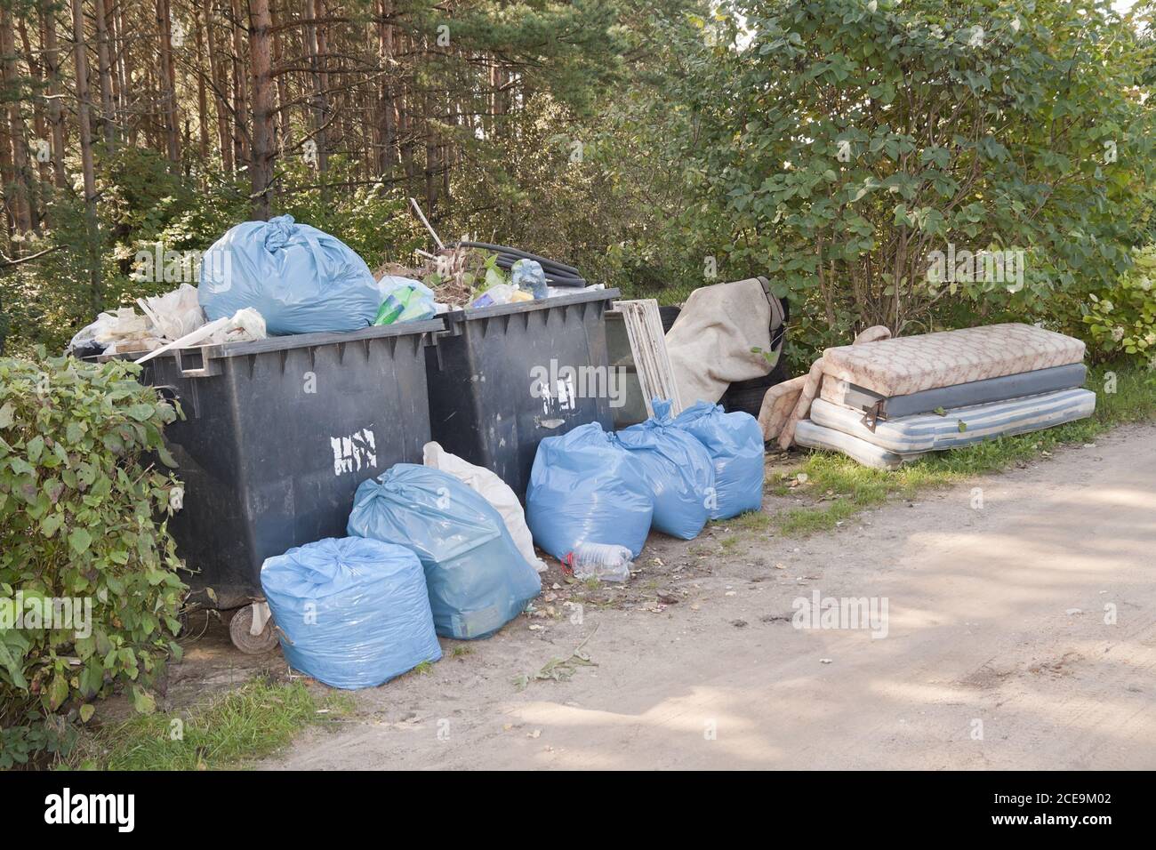 Montones de basura y desechos domésticos en los bosques Foto de stock