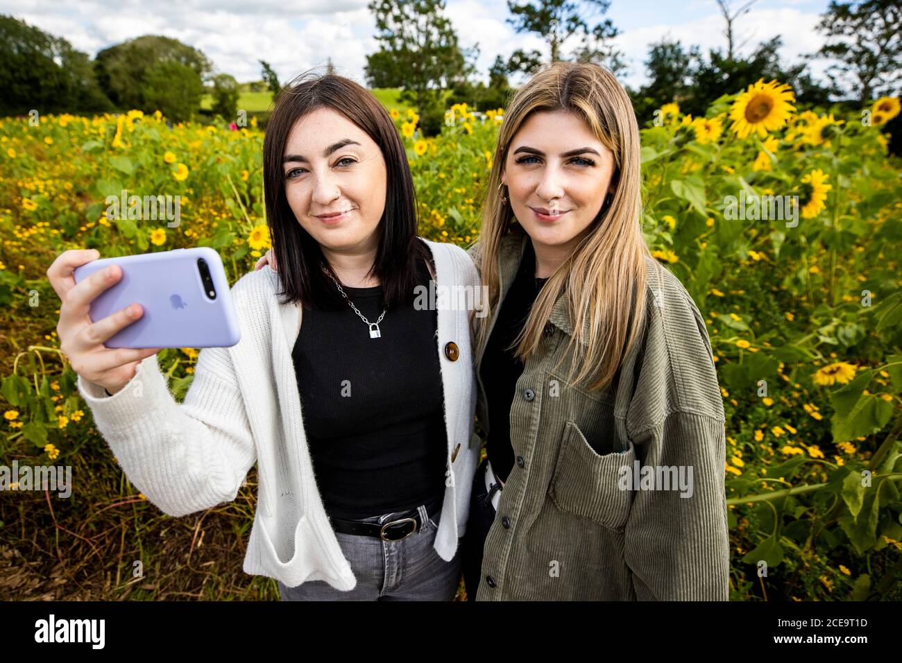 Becky Browne (izquierda) tomó un selfie con su hermana Katie Browne, en un viaje de un día desde Carrickfergus fotografiado juntos en el Sunflower Field Portglenone, en el lunes de vacaciones del banco en Irlanda del Norte. Foto de stock