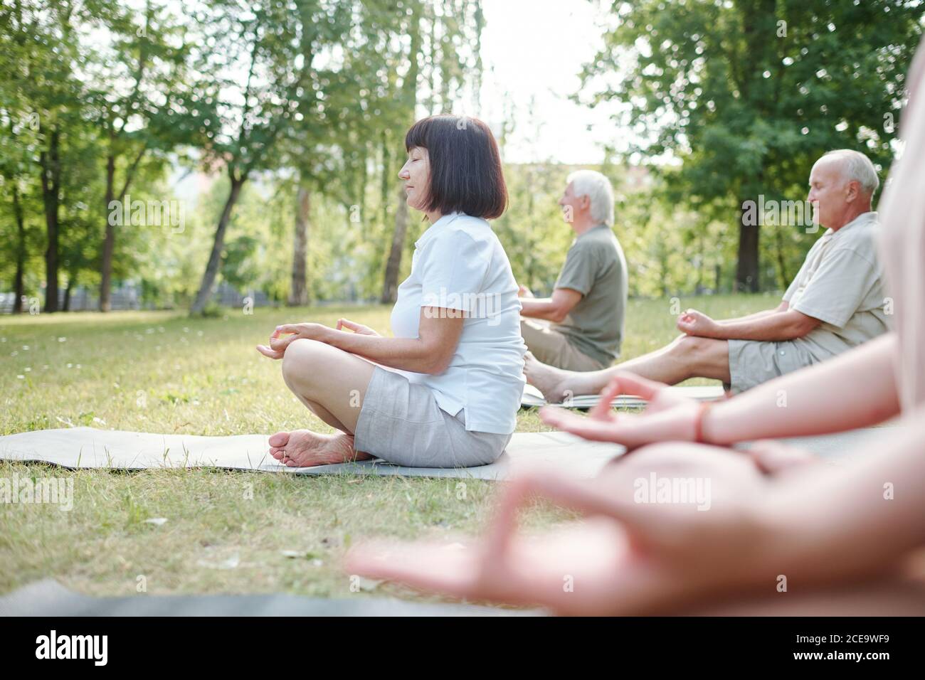 Grupo de personas mayores concentradas sentadas en colchonetas de ejercicios y. meditando en la práctica de yoga en el parque Foto de stock