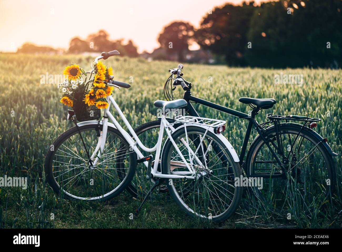 2 bicicletas en el campo Fotografía de stock - Alamy