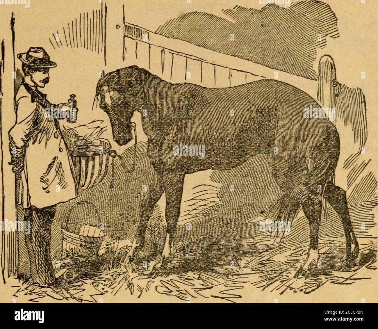 Como Hacer Que Me De Fiebre Yahoo A Diuretic Fotos e Imágenes de stock - Página 16 - Alamy