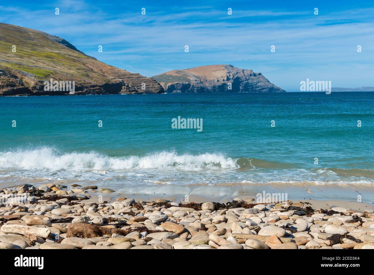 Isla de las islas malvinas fotografías e imágenes de alta resolución