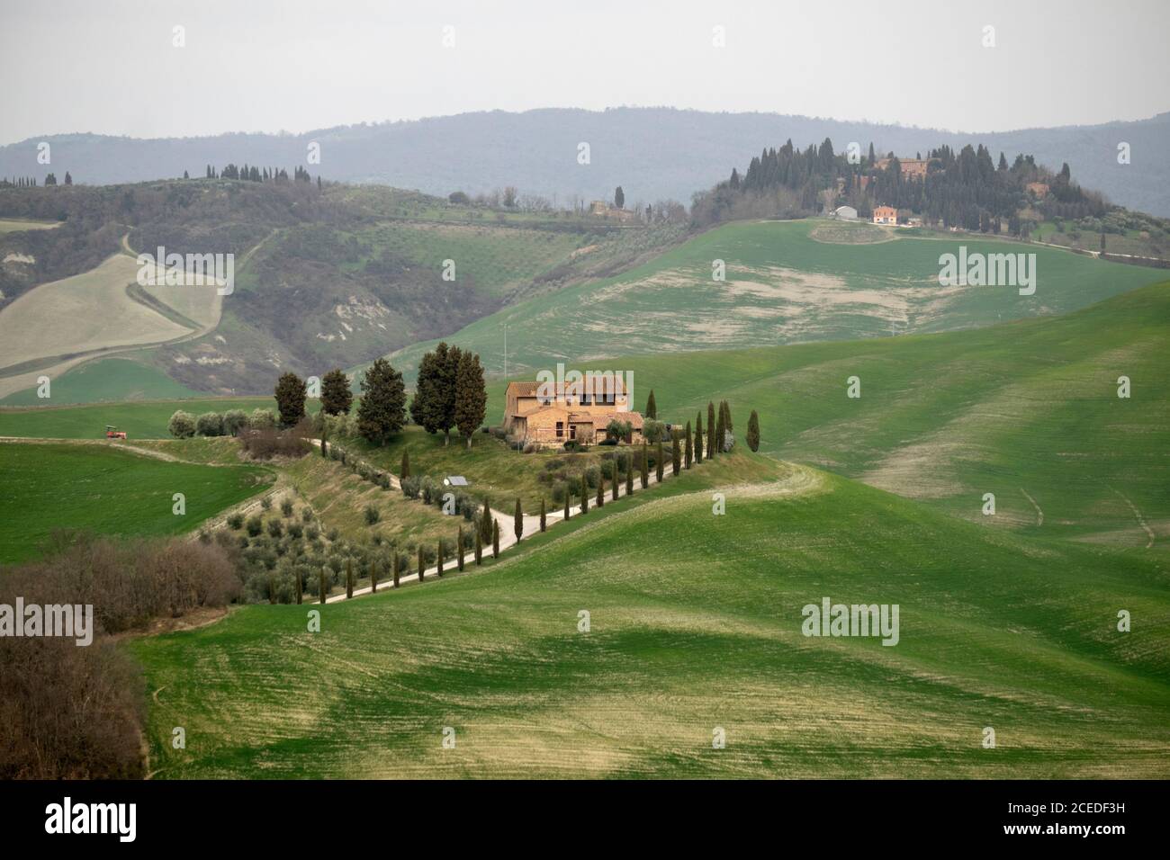 ASCIANO, Toscana, Italia - 07 marzo 2019: Granjas dentro del paisaje característico de la Toscana, Italia Foto de stock
