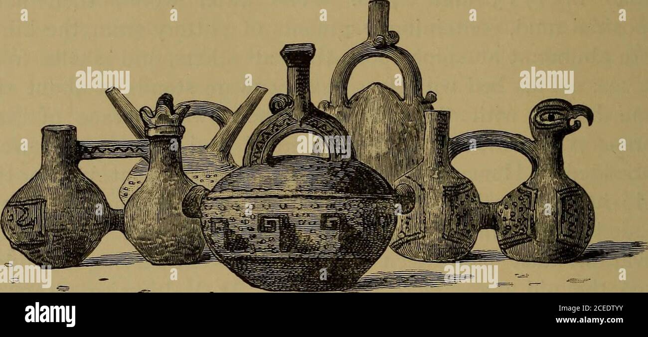 . Diario de investigaciones sobre la historia natural y la geología de los países visitados durante el viaje alrededor del mundo de H.M.S. 'Beagle,' bajo el mando del Capitán Fitz Roy. Y se paró más allá del mismo número de pies más bajo, la Macrauchenia era una bestia viviente; pero como la costa patagónica está lejos de la Cordillera, el ascenso allí puede haber sido más lento. En Bahía Blanca la elevación ha sido sólo unos pocos desde que los numerosos cuadrúpedos gigantescos estaban allí entrecasados; y, según la opinión generalmente recibida, cuando los animales extintos eran hombre vivo no existía. B Foto de stock