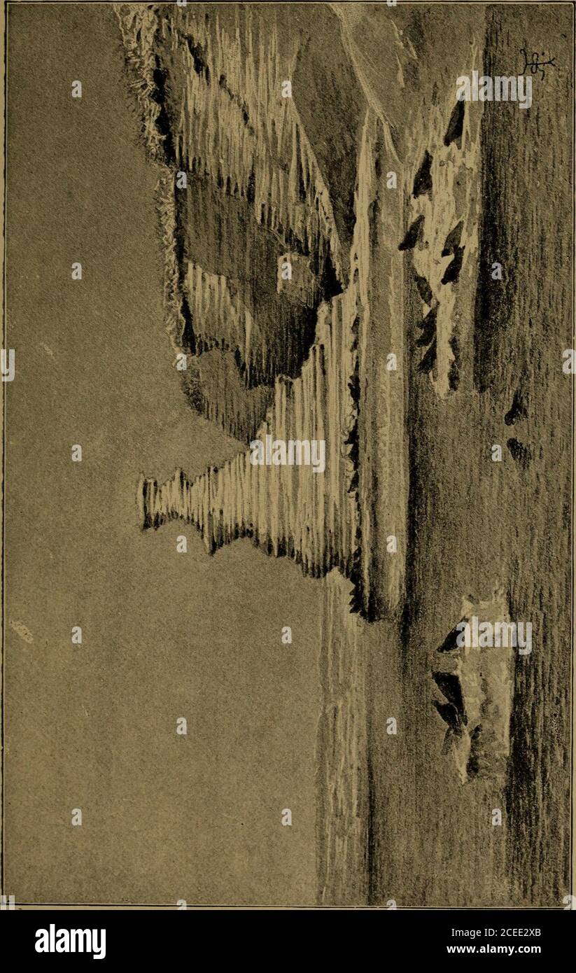. Diario de investigaciones sobre la historia natural y la geología de los países visitados durante el viaje alrededor del mundo de H.M.S. "Beagle", bajo el mando del Capitán Fitz Roy, su vegetación atónimida; pero la relación de la Macrauchenia con el teguanaco, ahora habitante de las partes más estériles, explica esta dificultad. La relación, aunque distante, entre el Macraucheniay el Guanaco, entre el Toxodon y el Capybara, la relación más cercana entre los muchos Edentata extintos y los perezosos vivos, hormigueros y armadilloes, ahora tan eminentlycaracterístico del Sur Foto de stock