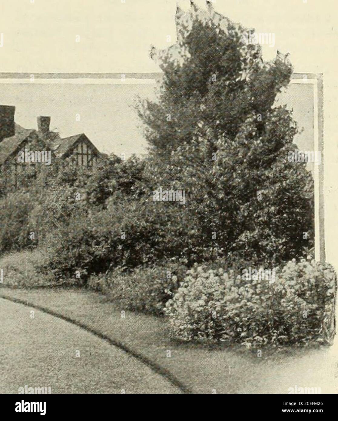 . Catálogo revisado, ilustrado y descriptivo de árboles frutales y ornamentales arbustos, rosas, bulbos y plantas bulbosas, vides de uva, frutos pequeños, etc.. U3j. QUÉ POCOS ÁRBOLES Y ARBUSTOS HARÁN 57 PERRY VIVERO COMPAÑÍA, ROCHESTER, N. Y. Foto de stock