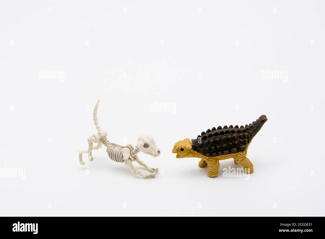 Esqueleto de perro y Ankylosaurus, relación de amigos Foto de stock