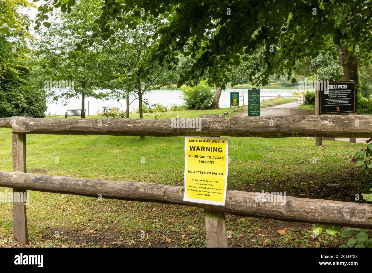 El lago en Shearwater aviso de advertencia sobre algas verdes azules que está presente en el agua y un peligro. Longleat Estate, Wiltshire, Inglaterra, Reino Unido Foto de stock