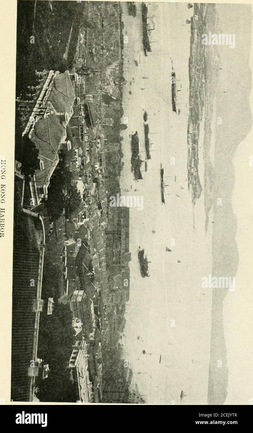 . Se encuentra al este de Suez en Ceilán, India, China y Japón. El potentato aninteresante que