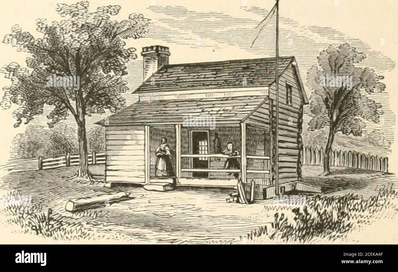 kate spade makeup bolsa pink