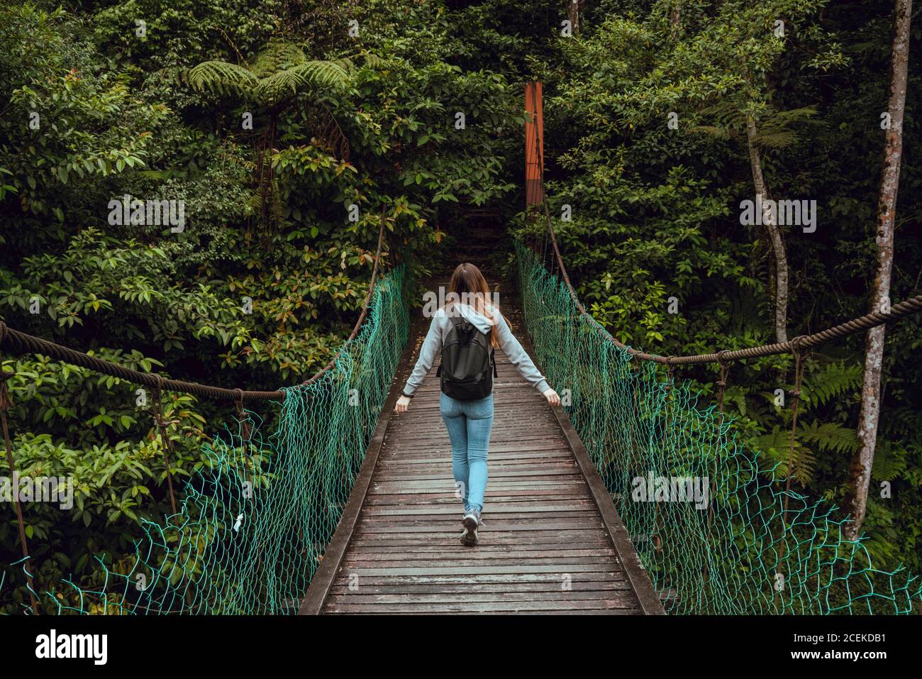 Vista trasera joven delgada dama con mochila colgando puente a las frondosas maderas exóticas en Malasia Foto de stock