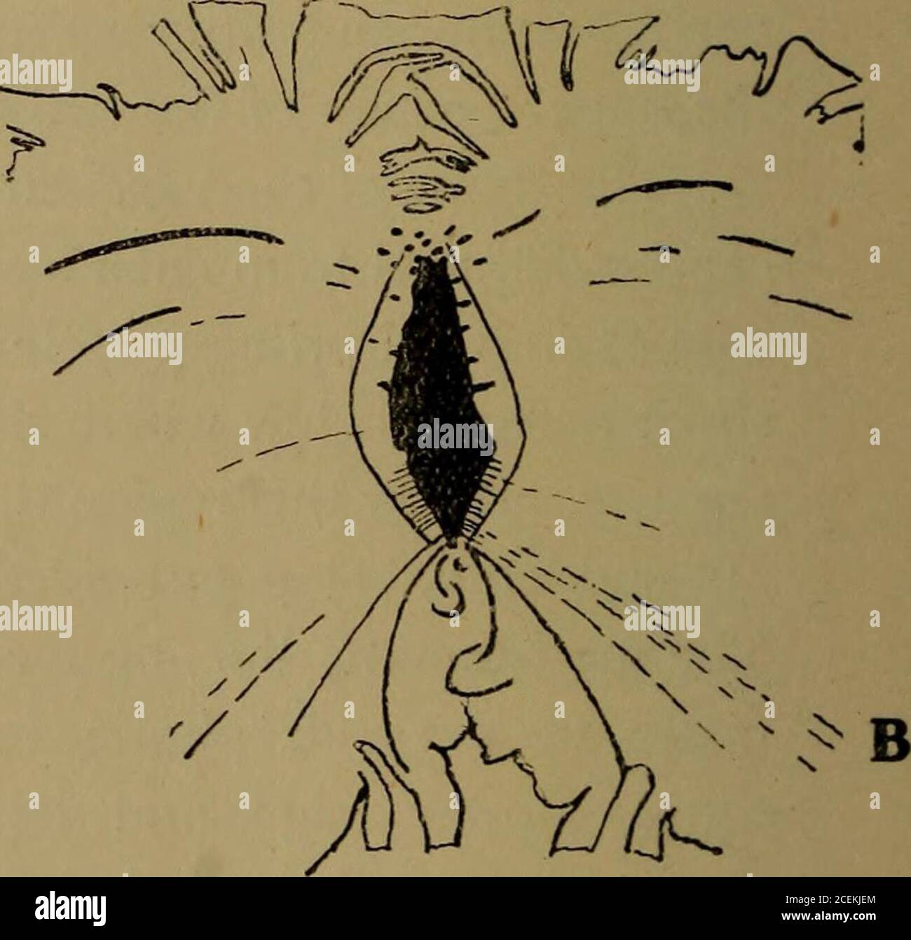 . Memorias y actas de la Sociedad literaria y filosófica de Manchester