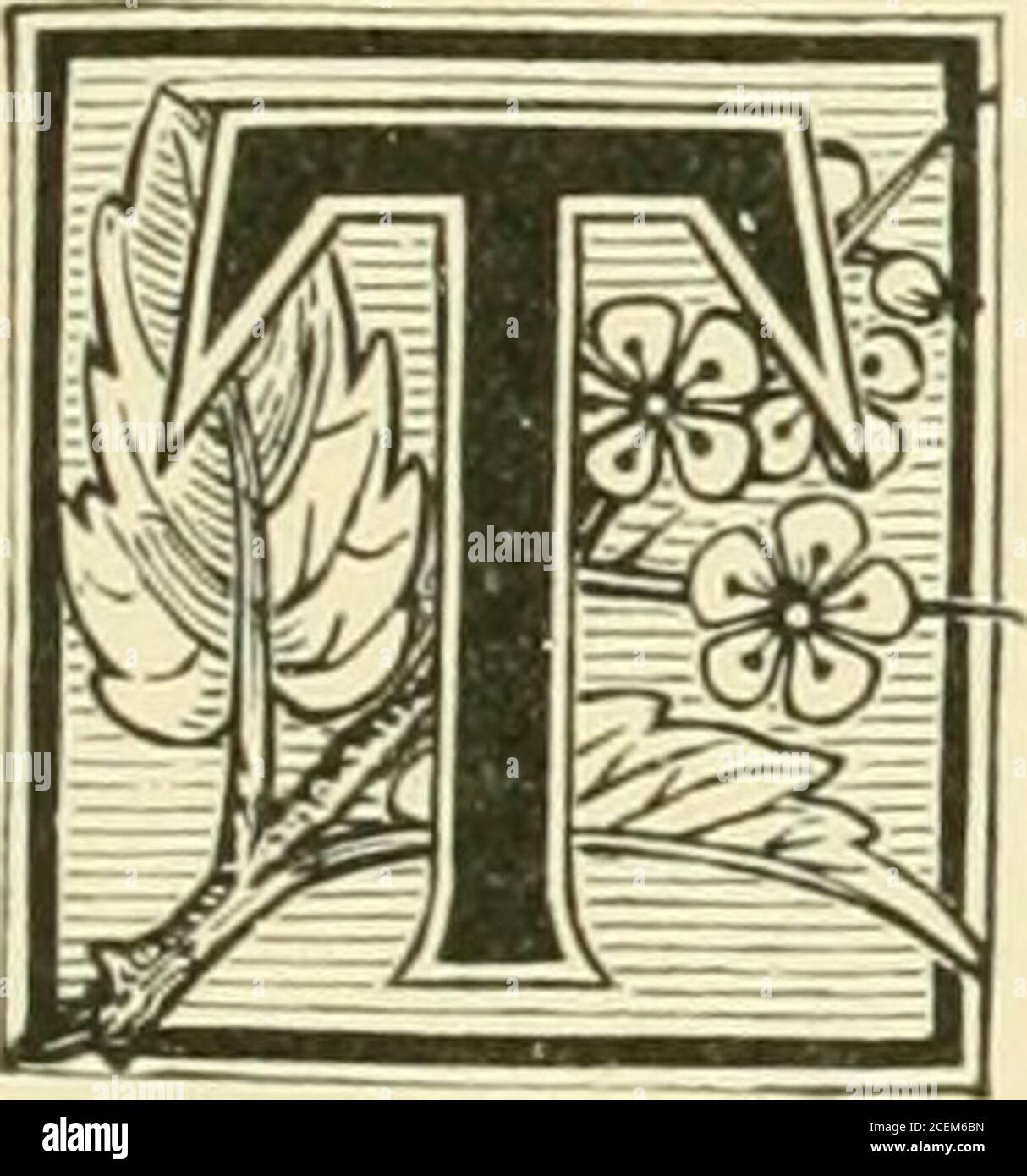 Debiles Rastros Fotos E Imagenes De Stock Alamy