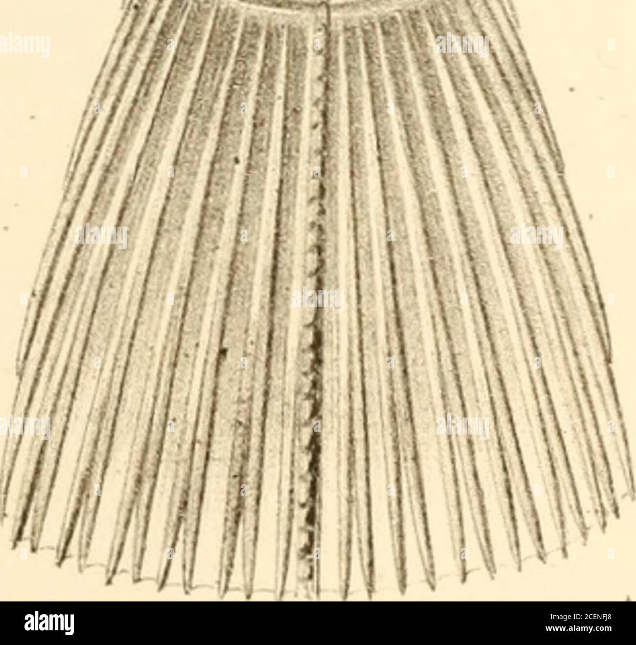 Sitzungsberichte Der Kaiserlichen Akademie Der Wissenschaften Classe X X V C Z U Lxth V Ei Kon