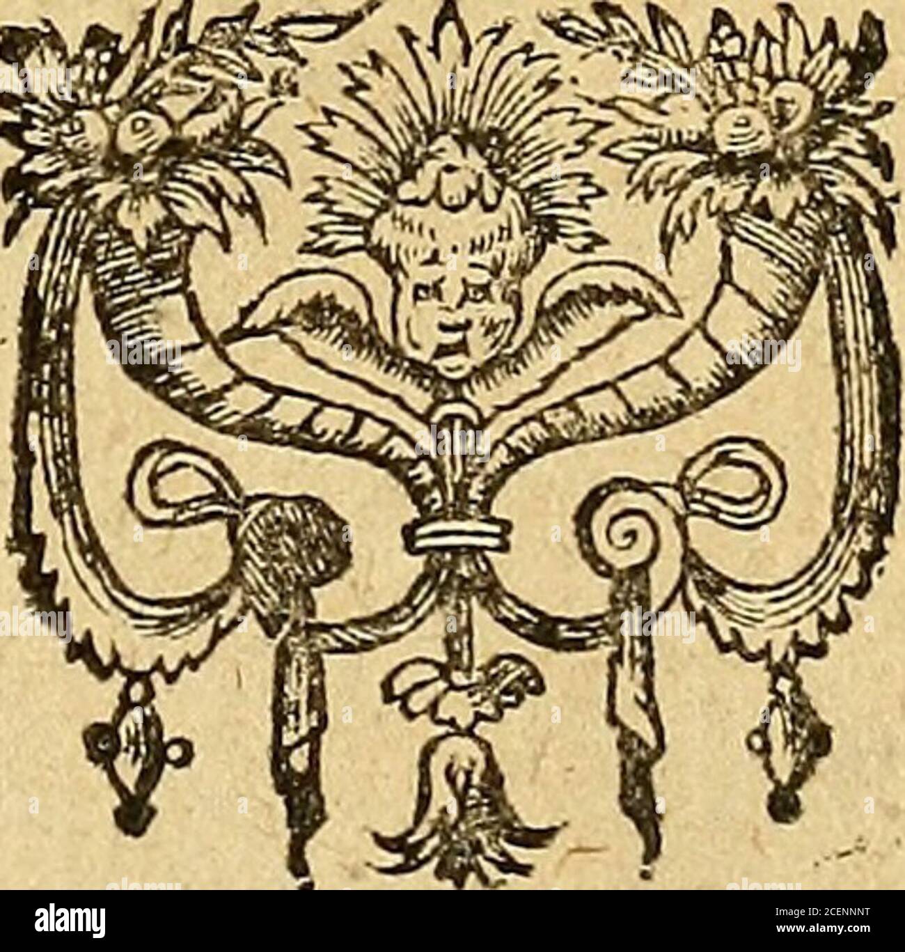 . Tychonis Brahe Dani Epistolarvm astronomicarvm libri. VRANIBVRGI CVMCAE SARIS ET REGVM QJORVNDAM F R I V I L E G 11 S. AN N O CID 1D XC VITYCHONISBRAHEDAN00BRAH Foto de stock