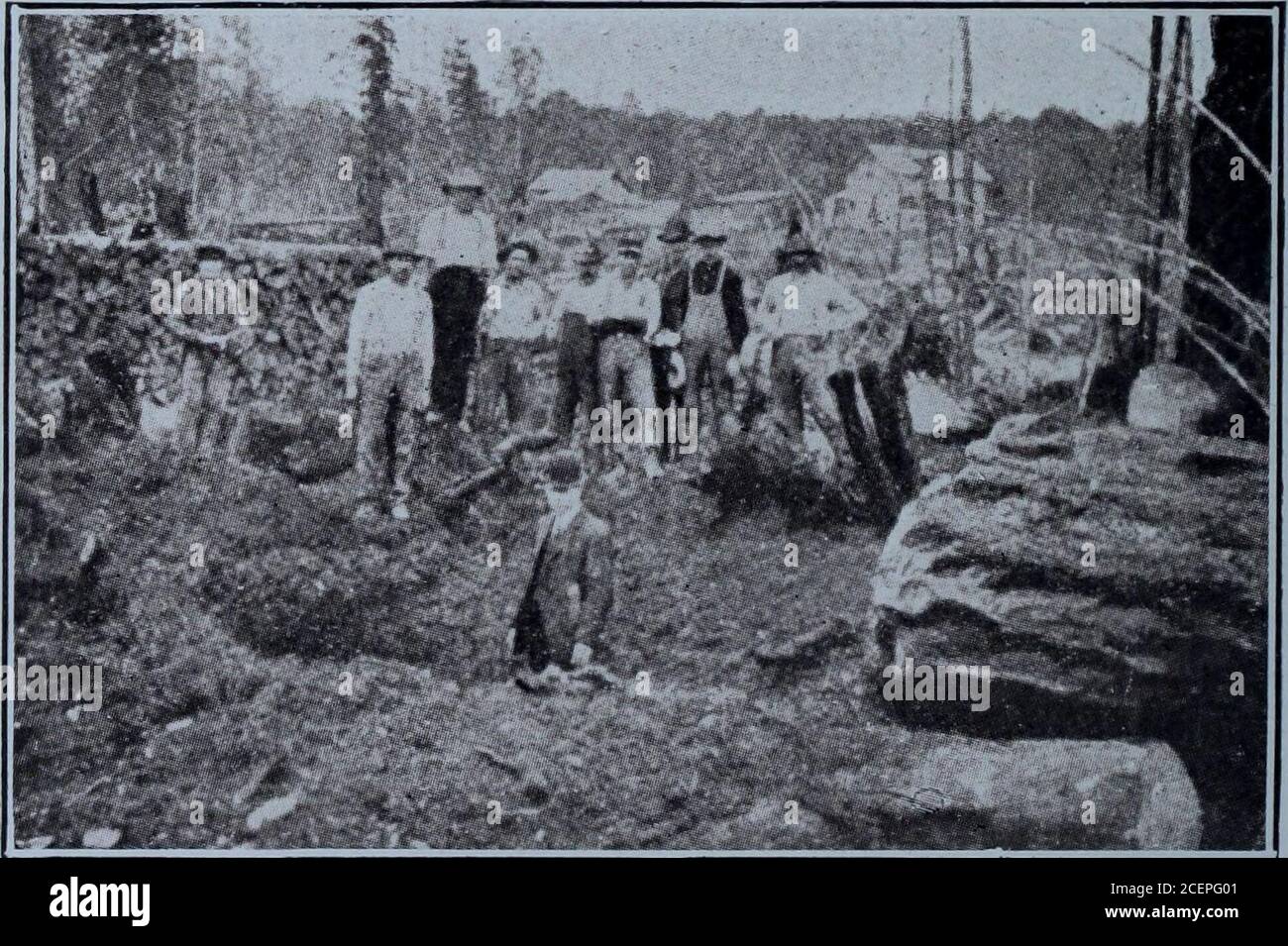 Le Souches Fotografías E Imágenes De Alta Resolución Alamy 0642