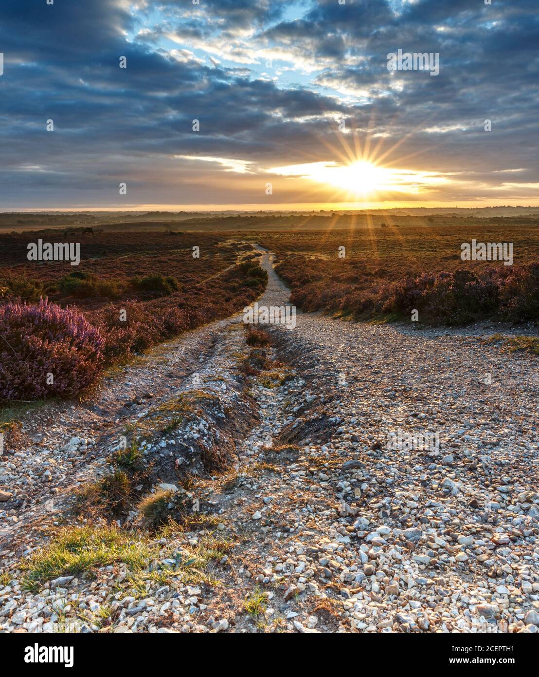 Una escena otoñal del amanecer sobre el New Forest, Hampshire, Reino Unido con un sendero que conduce a la escena. Foto de stock