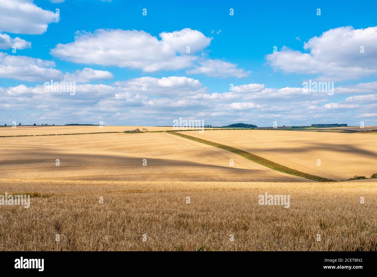 Colorido paisaje vista sobre colinas onduladas y campos de trigo en un día soleado con nubes blancas. Foto de stock