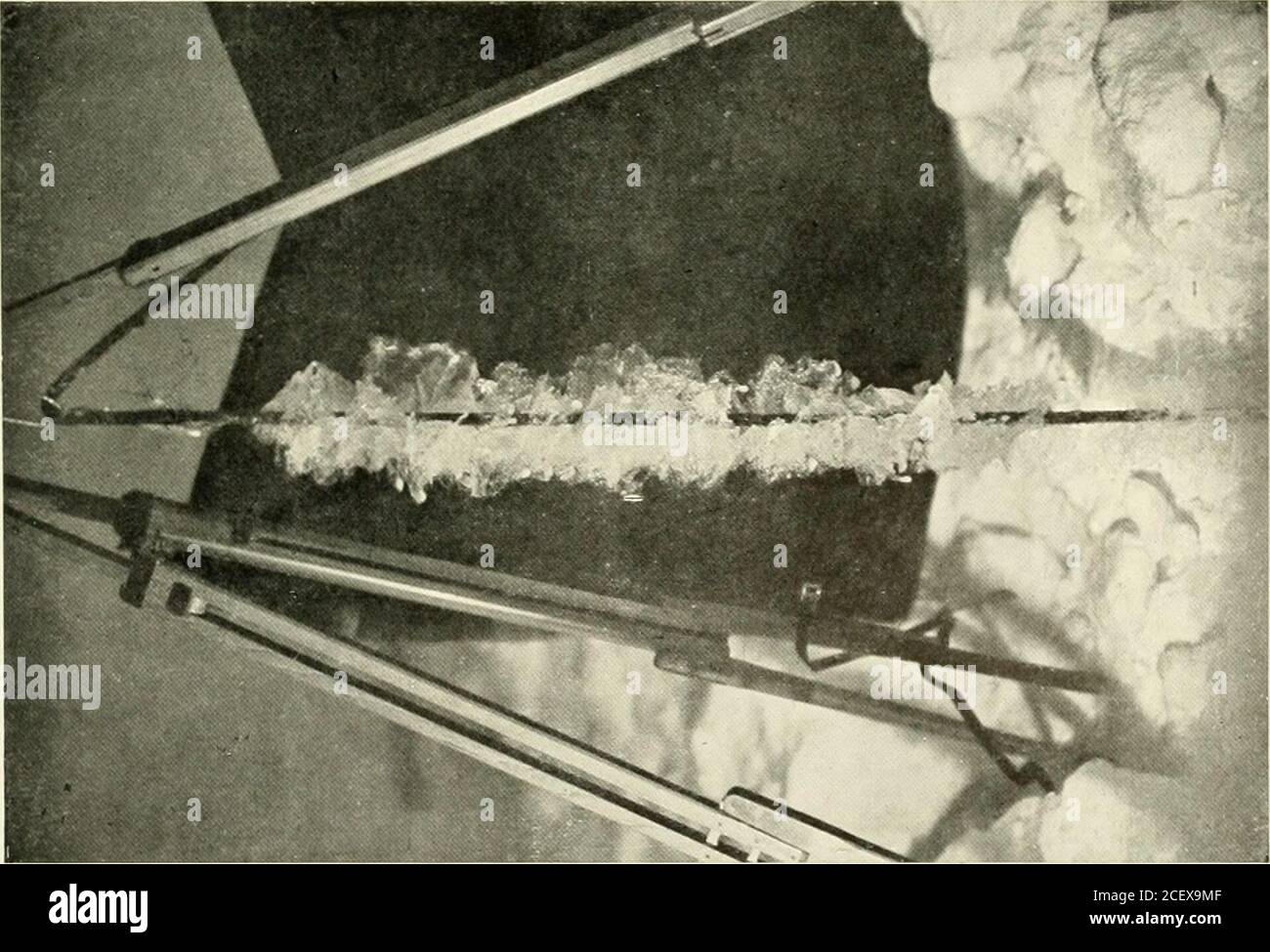 Expedicion Antartica Britanica 1907 9 Bajo El Mando De E H Shackleton Informes Sobre Las Investigaciones Cientificas Geologia Gt S Gt Gt X T Gt L Lt S O M O 2 W