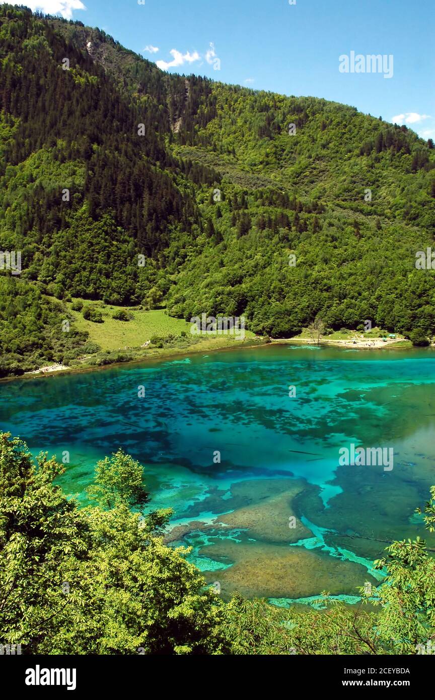 Juizhaigou (valle de nueve aldeas) en Sichuan, China. Vista de Five Flower Lake. Foto de stock
