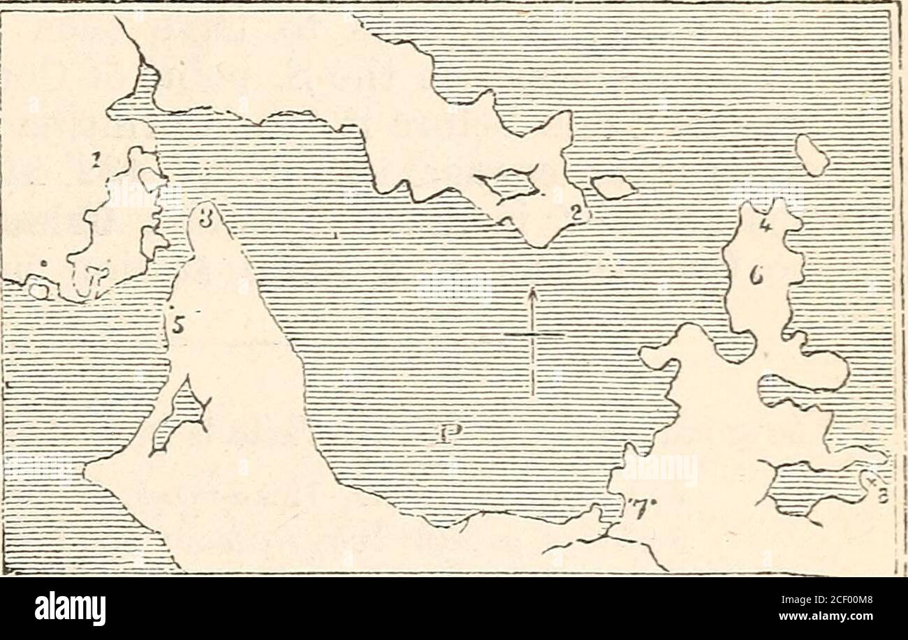 El Manual Del Estudiante De La Geografía Antigua, Basado En El.