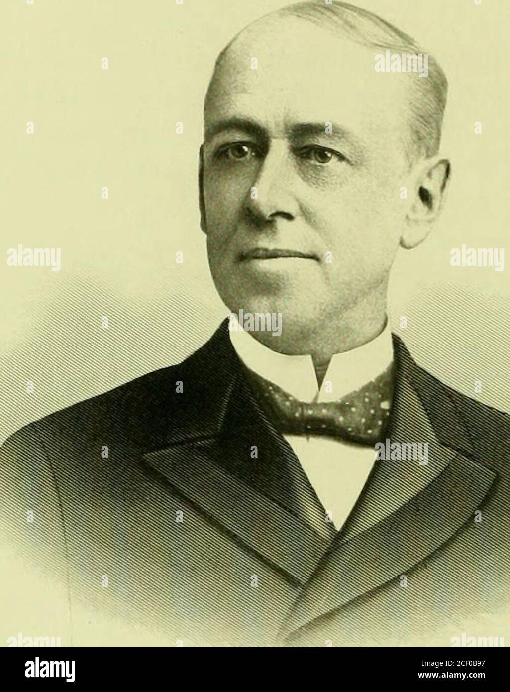 . Los hombres prominentes y progresistas del estado de Nueva York;. La iversidad de esa ciudad. Se había pretendido que tuviera una educación universitaria completa, y estaba preparado para la matrícula a la edad de quince años. Pero la muerte de su padre alteró sus planes. Pasó un año como empleado en una tienda en Buffalo, y luego comenzó el estudio de la medicina. Tres años de estudiocompletaron el curso, y recibió el título de Doctor en Medicina. Inmediatamente después de graduarse fue a San Luis, y spenta año allí en el trabajo hospitalario. Él sirvió allí como un fisi-cian de la ciudad a través de la epidemia de la viruela de 1872-73. Foto de stock