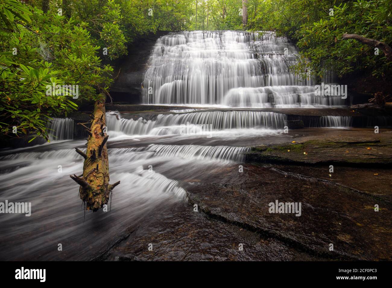 Cae en grogan creek fotografías e imágenes de alta resolución Alamy