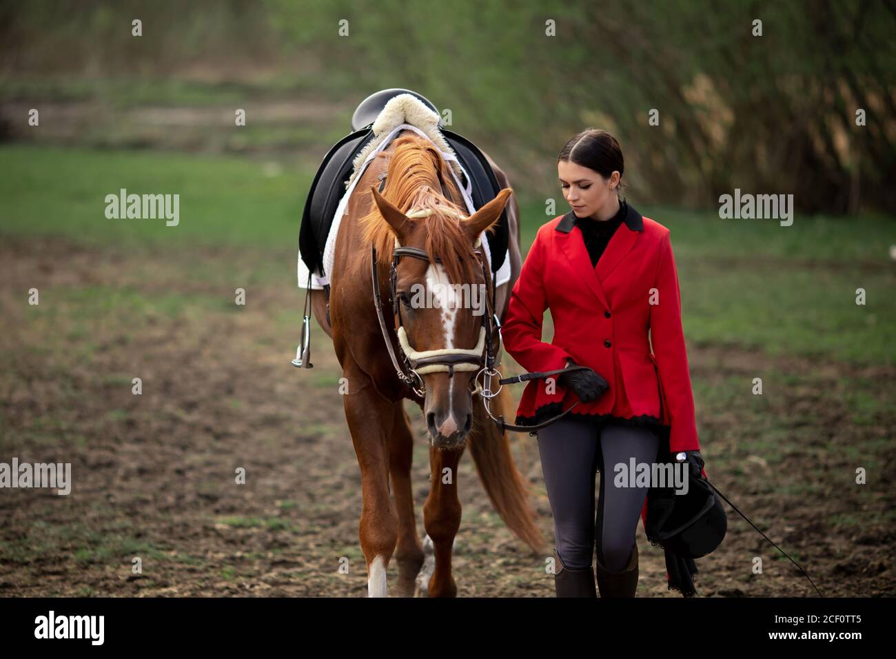 Deporte ecuestre, jockey joven mujer está montando caballo marrón Foto de stock