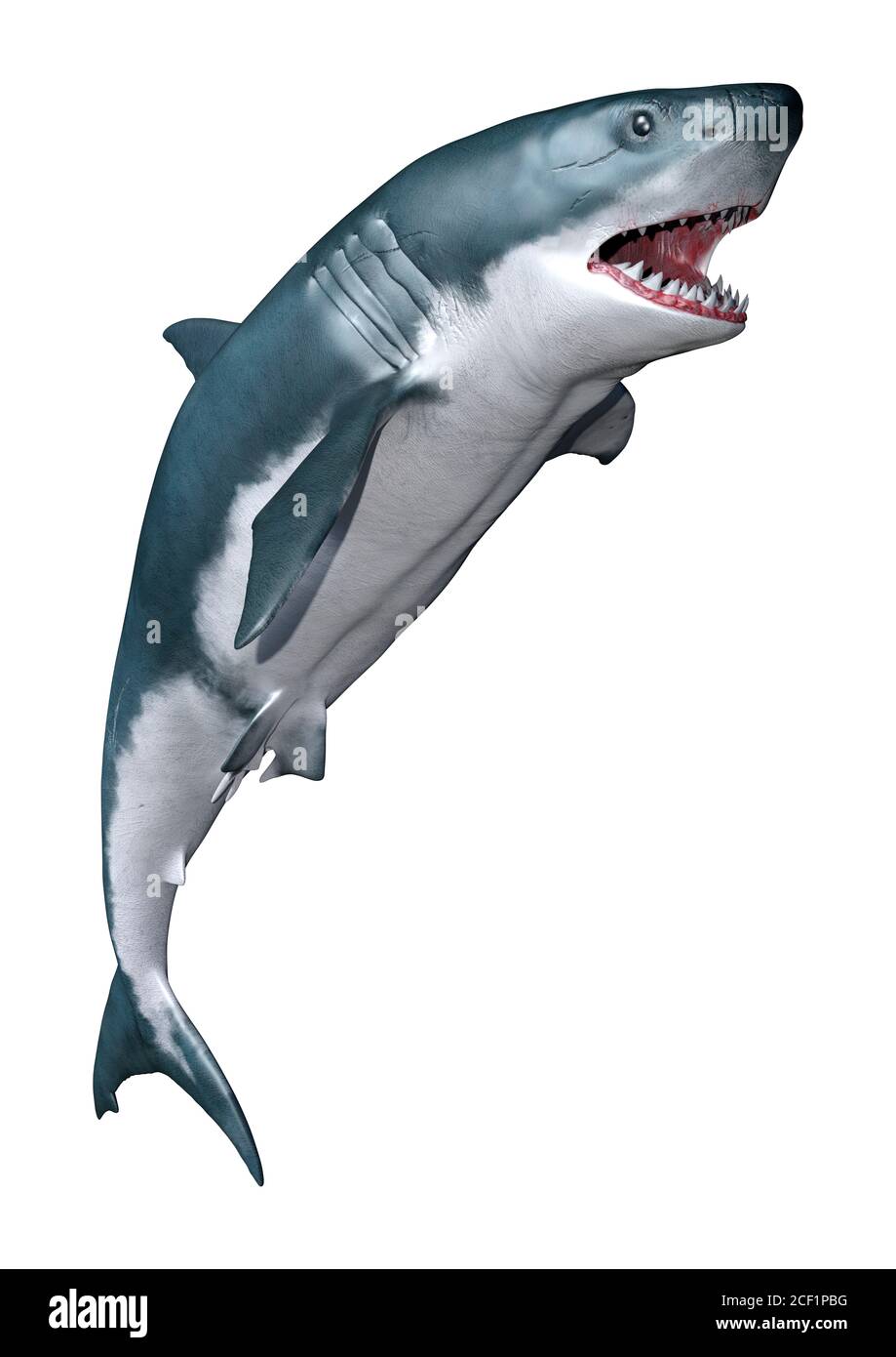 Representación 3D de un gran tiburón blanco aislado sobre ...