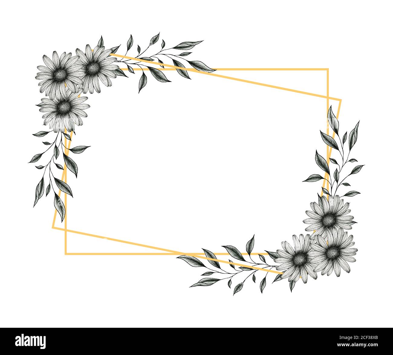 marco de oro con flores y hojas de margarita, ilustración floral gráfica  con margaritas en blanco y negro y ramas de hojas para bodas o saludos  Fotografía de stock - Alamy
