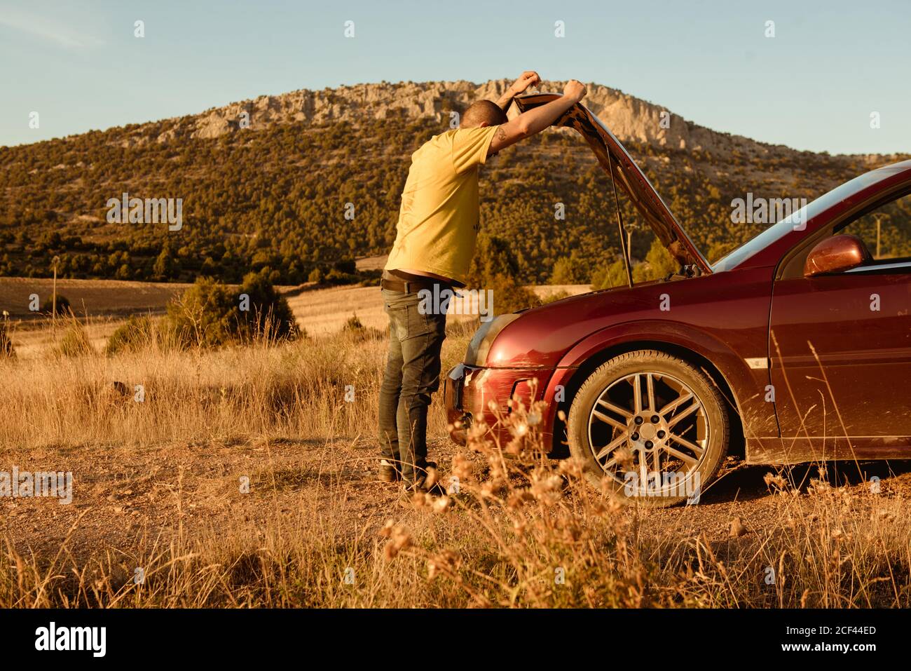 Vista lateral del hombre adulto irreconocible que abre la capucha mirando motor de coche roto después de un accidente en el campo Foto de stock