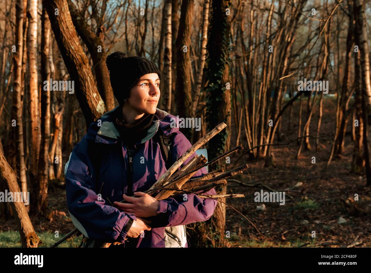 el viento es fuerte Interprete Desgastado Mujer joven y tranquila en ropa caliente recogiendo madera durante camping  en el bosque de otoño Fotografía de stock - Alamy